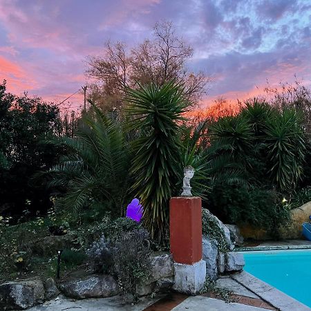 Le Clos De L'Isle آرْلْ المظهر الخارجي الصورة