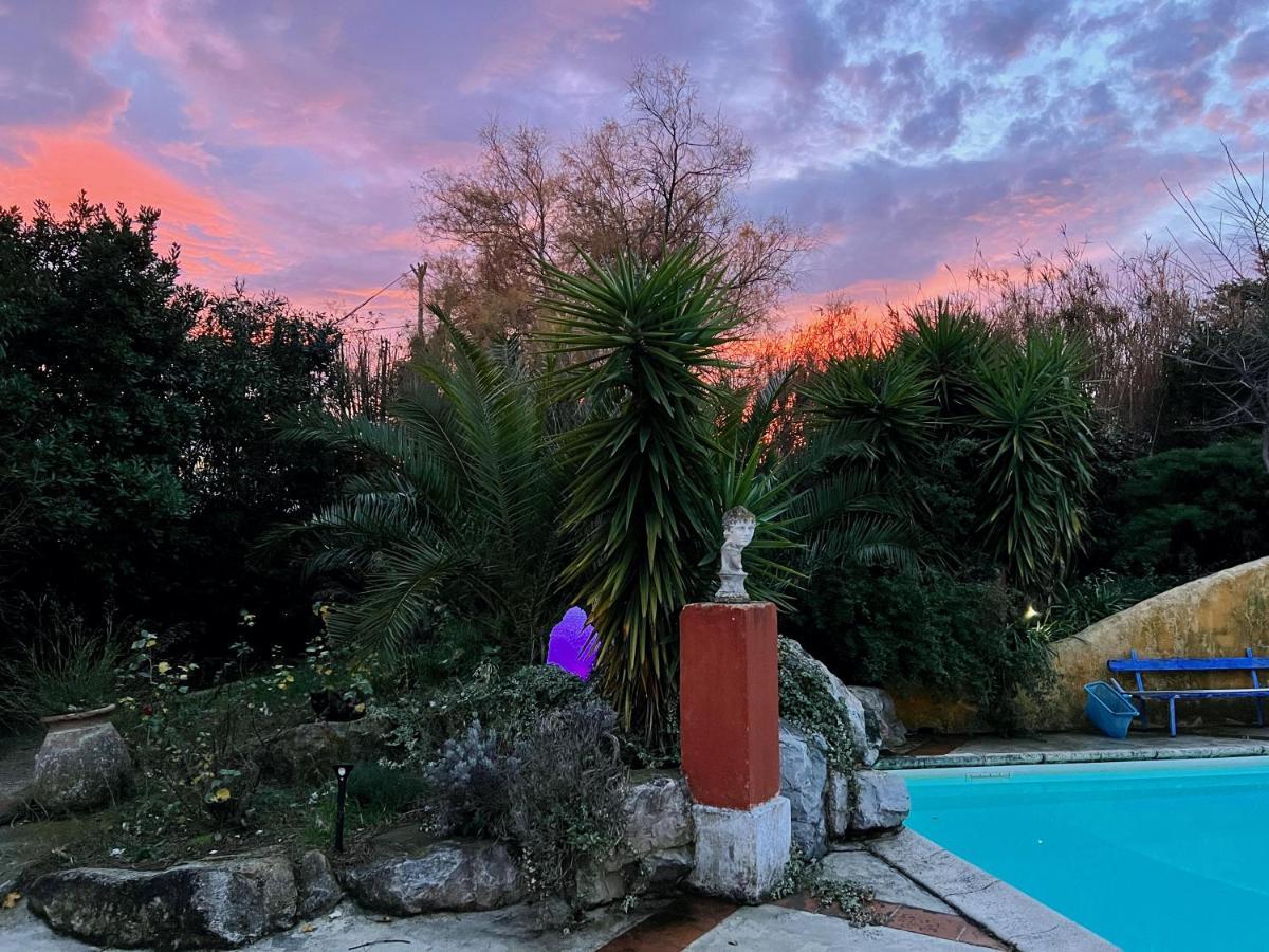 Le Clos De L'Isle آرْلْ المظهر الخارجي الصورة